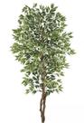 Planta Árvore Artificial Ficus Verde Creme 2,1m