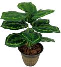 Planta árvore artificial folhagem verde 12 folhas 53cm Planta árvore artificial folhagem verde 12 folhas 53cm