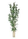 Planta Árvore Artificial Real Toque Bambu 2,11M