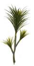 Planta Árvore Artificial Yucca Verde 1,50m