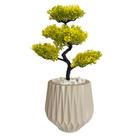 Planta Árvore Bonsai Artificial Com Vaso Decoração -
