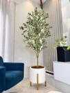 Planta Arvore Grande Oliveira Artificial Vaso Pé Madeira -