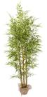Planta Bamboo Mossô Premium Verde Realista 7 Galhos 180cm