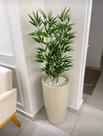 Planta bambu artificial 1mt 5 galhos sem o vaso