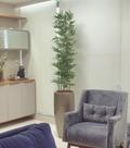 Planta bambu artificial 4 hastes 1 mt/sem o vaso