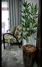 Planta bambu artificial 4 hastes 1mt/o vaso não acompanha