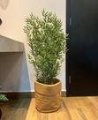 Planta bambu artificial 4 hastes o vaso não acompanha
