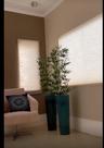 Planta bambu artificial 6 hastes 1 mt/sem o vaso