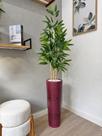 Planta Bambu Artificial Arranjo Com Vaso Bambuzinho Grande - Planta Bambu Artificial Arranjo Com Vaso Bambuzinho Grande -