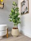 Planta Bambu Da Sorte Artificial Com Vaso Arranjo Completo - Planta Bambu Da Sorte Artificial Com Vaso Arranjo Completo -