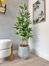 Planta Bambu Da Sorte Artificial Com Vaso Arranjo Completo - Planta Bambu Da Sorte Artificial Com Vaso Arranjo Completo -