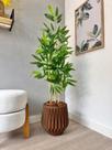 Planta Bambu Da Sorte Artificial Com Vaso Arranjo Completo - Planta Bambu Da Sorte Artificial Com Vaso Arranjo Completo -