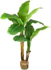 Planta Bananeira 2 Caules 9 folhas 1.6m Toque Real Verde Planta Bananeira 2 Caules 9 folhas 1.6m Toque Real Verde