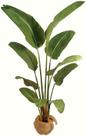 Planta Bananeira Verde Permanente Ravenala 165cm Realista