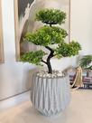 Planta Bonsai Árvore Artificial Com Vaso Decoração Realista - Planta Bonsai Árvore Artificial Com Vaso Decoração Realista -