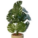Planta Costela De Adão Artificial Buquê 18 Folhas Alt 60 Cm Planta Costela De Adão Artificial Buquê 18 Folhas Alt 60 Cm