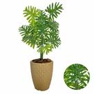 Planta Costela De Adão Artificial + Vaso Completo Cores Planta Costela De Adão Artificial + Vaso Completo Cores