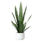 Planta de cobra artificial Bird Fiy Faux Agave Sansevieria 22,5 cm