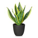 Planta de cobra artificial Briful 29 cm com vaso preto