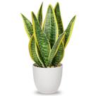 Planta de cobra artificial Hollyone em vaso Sansevieria Trifasciata