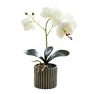 Planta de orquídea artificial Jorzer Real Touch Bonsai branca 32cm Planta de orquídea artificial Jorzer Real Touch Bonsai branca 32cm