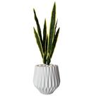 Planta Espada De São Jorge Artificial Com Vaso Origami Pedra