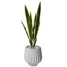 Planta Espada De São Jorge Artificial Com Vaso Origami Pedra Planta Espada De São Jorge Artificial Com Vaso Origami Pedra