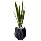 Planta Espada De São Jorge Artificial Com Vaso Origami Pedra