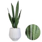 Planta Espada De São Jorge Artificial Vaso Pedra Realista