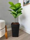 Planta Ficus Lyrata Artificial Arranjo Com Vaso Completo -