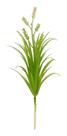 Planta Flor Artificial Verde Buquê Decoração Casa 26 Cm