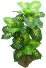 Planta Folhagem Comigo Ninguém Pode Artificial P/Vaso Decorativo