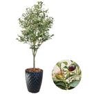 Planta Folhagem Oliveira Artificial Com Vaso Completo Grande