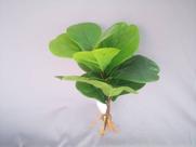Planta haste de ficus lyrata artificial 25cm Planta haste de ficus lyrata artificial 25cm