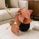 Planta Jiboia Artificial Vaso Decoração Enfeite Arranjo Mesa