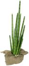 Planta Lança de São Jorge com 10 hastes 81cm artificial