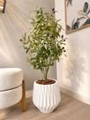 Planta Oliveira Arranjo Artificial Com Vaso Arvore Azeitona -