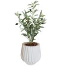Planta Oliveira Artificial Azeitona Coma Vaso Origami
