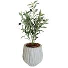 Planta Oliveira Artificial Azeitona Coma Vaso Origami