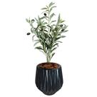 Planta Oliveira Artificial Azeitona Coma Vaso Origami