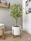 Planta Oliveira Artificial Com Vaso Pé Madeira Luxo Arranjo -