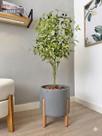 Planta Oliveira Artificial Com Vaso Pé Madeira Luxo Arranjo -