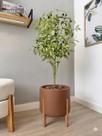 Planta Oliveira Artificial Com Vaso Pé Madeira Luxo Arranjo - Planta Oliveira Artificial Com Vaso Pé Madeira Luxo Arranjo -