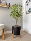 Planta Oliveira Artificial Com Vaso Pé Madeira Luxo Arranjo - Planta Oliveira Artificial Com Vaso Pé Madeira Luxo Arranjo -