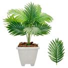 Planta Palmeira Artificial com Vaso Plástico Completo Casca Planta Palmeira Artificial com Vaso Plástico Completo Casca