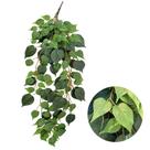 Planta Pendente Artificial Trepadeira Arranjo Muro Inglês
