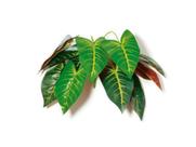 Planta permanente ramos folhagem artificial alocasia