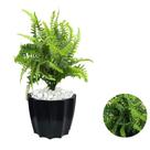 Planta Samambaia Artificial Com Vaso Cachepot Decorativo