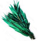 Planta Seca Capim Navalha Verde 55cm