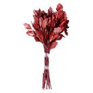 Planta Seca Carne de Vaca Vermelho 50cm Planta Seca Carne de Vaca Vermelho 50cm
